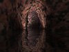 Grotte place 1